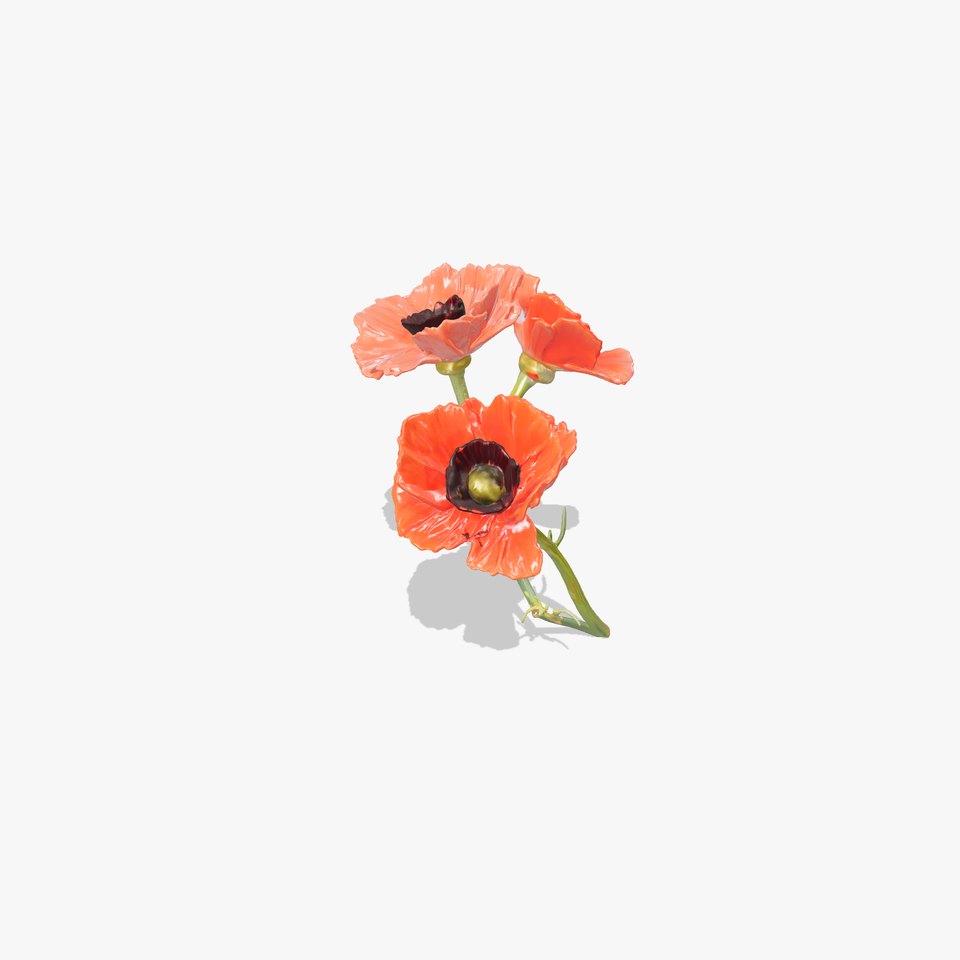 Papaver Minor Small Flower Model Pack